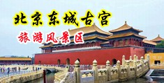内射淫荡的大胸秘书中国北京-东城古宫旅游风景区